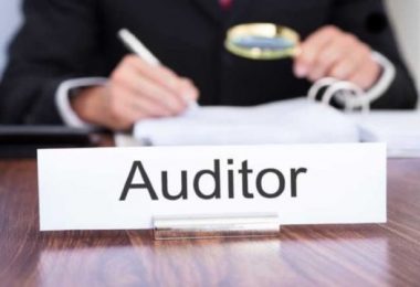 "auditor jobs in government"