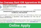 Indian Overseas Bank IOB Apprentices Bharti Online Apply